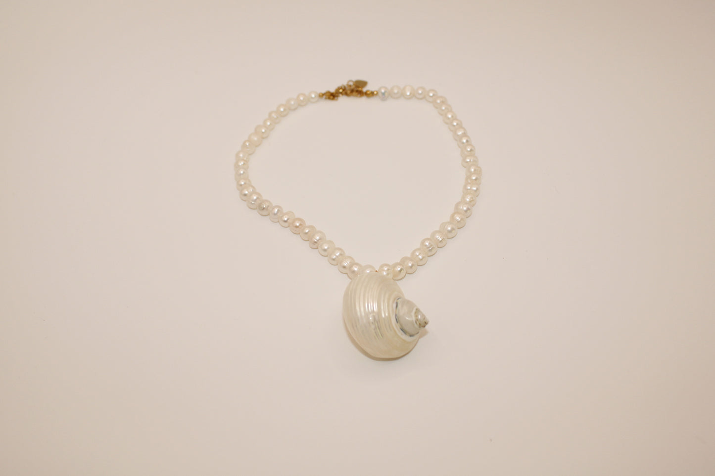 Seashell Necklace